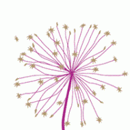 Alison Jones Homeopath